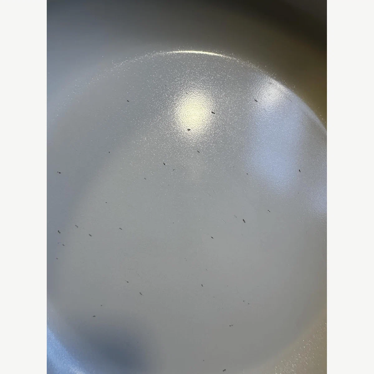 Box came damaged